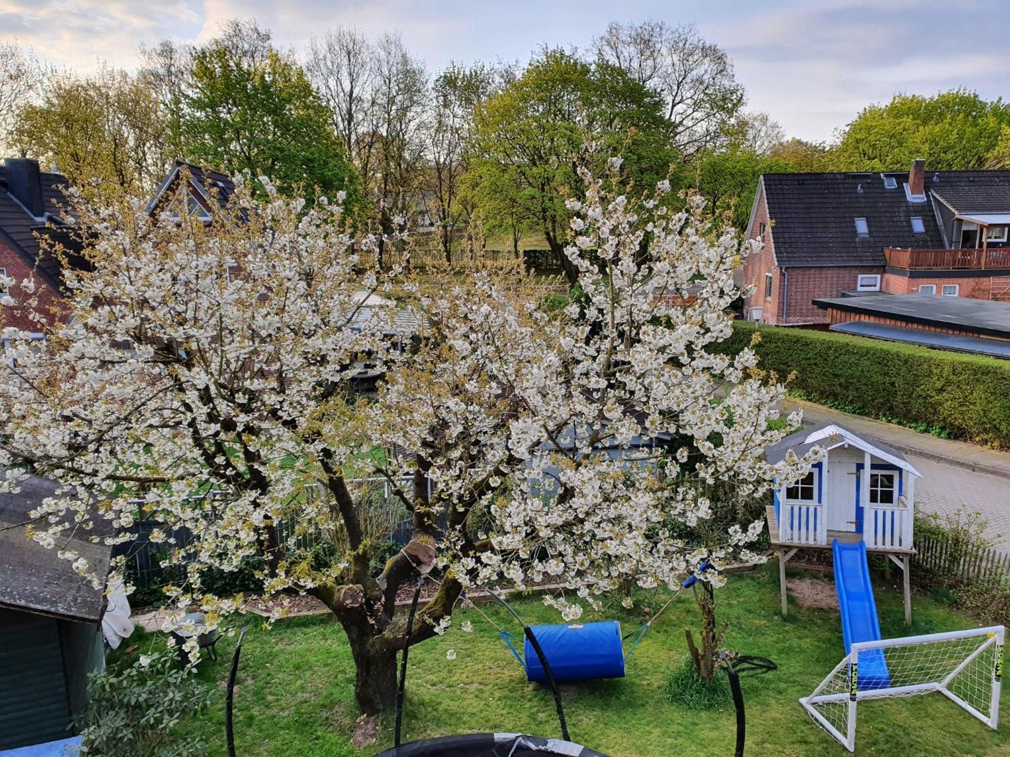 Apartment Neu! Alleweltchen Mit Balkon Nottensdorf